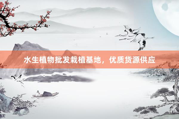 水生植物批发栽植基地，优质货源供应