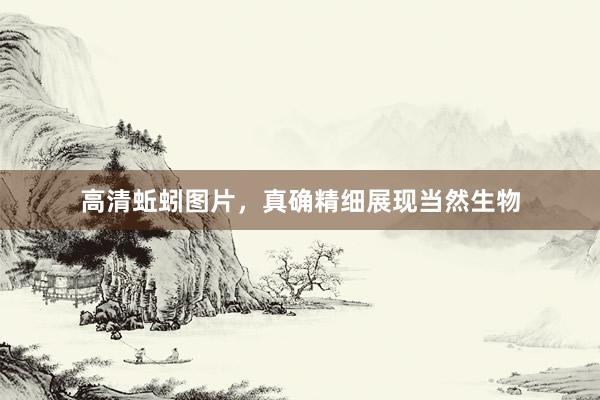 高清蚯蚓图片，真确精细展现当然生物