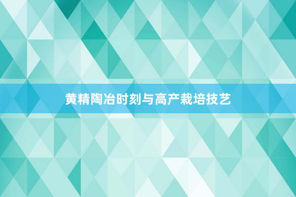 黄精陶冶时刻与高产栽培技艺