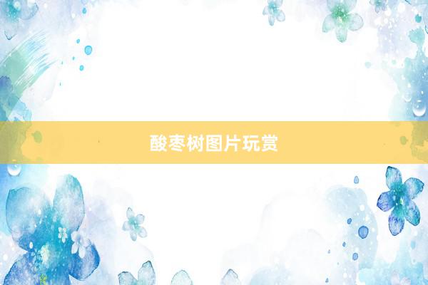 酸枣树图片玩赏