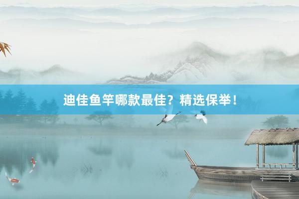 迪佳鱼竿哪款最佳？精选保举！