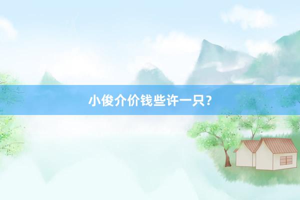 小俊介价钱些许一只？