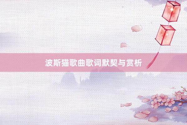 波斯猫歌曲歌词默契与赏析
