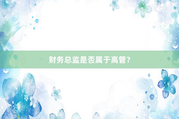 财务总监是否属于高管？